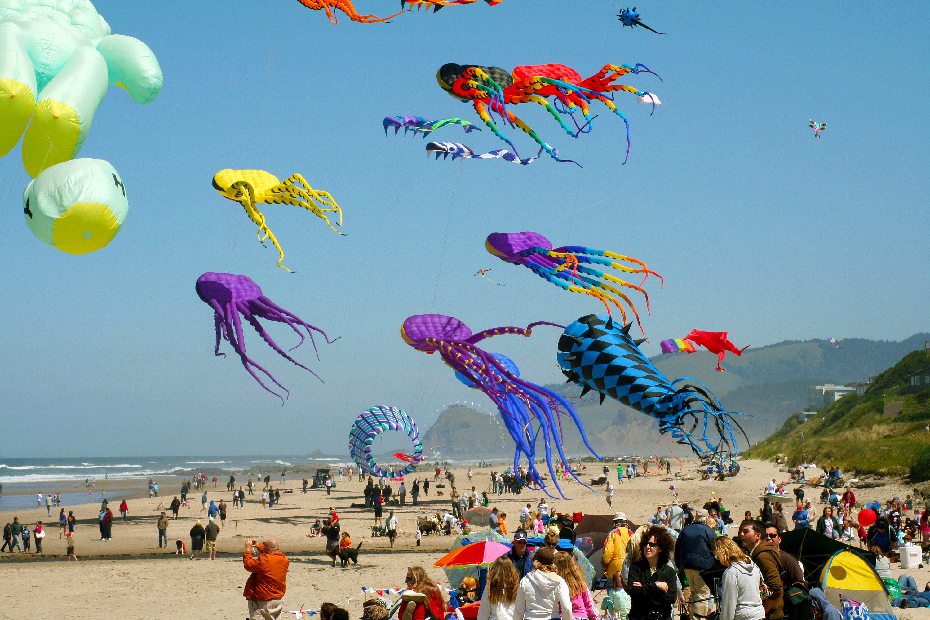 Lincoln City Kite Festival Seeks 2014 Theme Oregon Coast Visitors