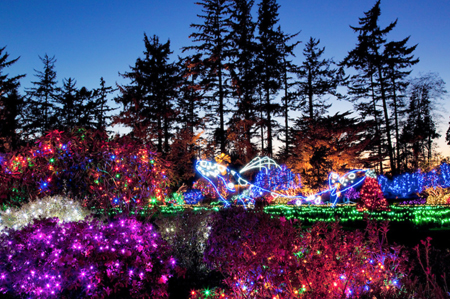 Holiday Lights and Other Don’t-Miss Events on the Coast - Oregon Coast ...