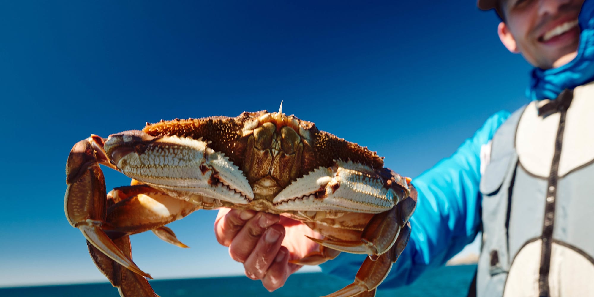 Get to Know…the Dungeness Crab! Oregon Coast Visitors Association