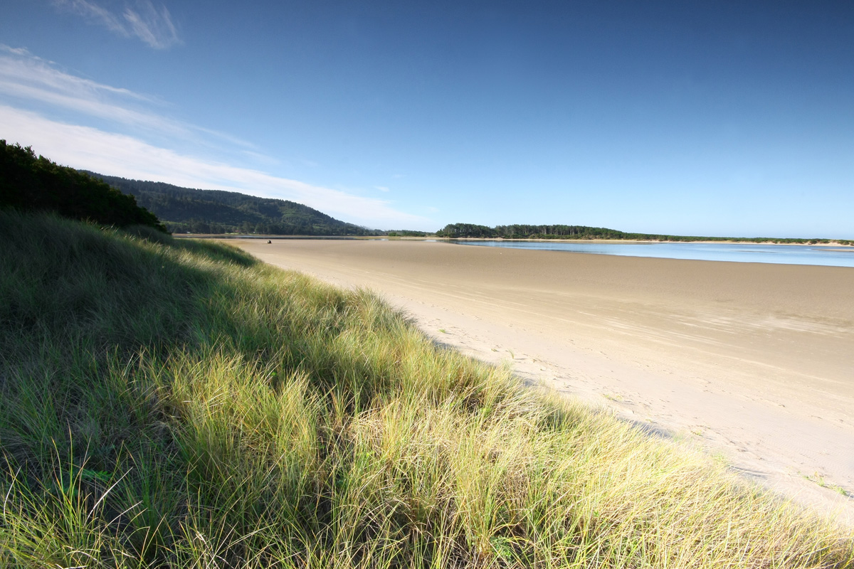 Pitch Your Tent At These Quiet Coastal Campgrounds - Oregon Coast 